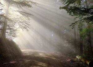 Paulo Apóstolo de Cristo Luz Jesus Damasco