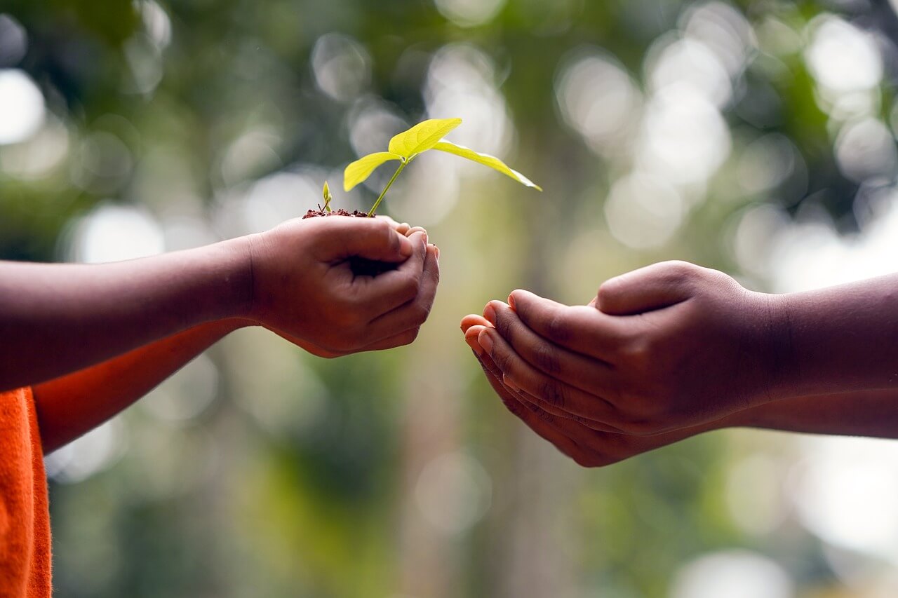 Como ter prosperidade - Minha Bíblia Sagrada